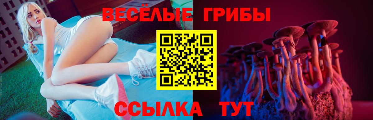 цена наркотик  Галлюциногенные грибы Psilocybine cubensis  Вход с VPN  Санкт-Петербург 