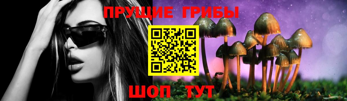 Псилоцибиновые грибы ЛСД Санкт-Петербург