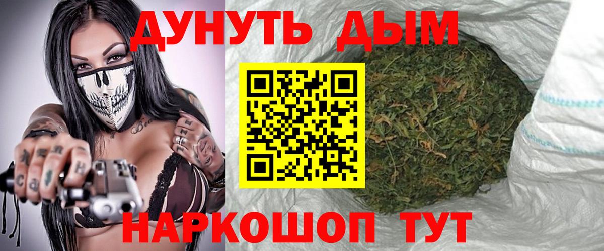 Санкт-Петербург  Бошки Шишки план  Канабис семена  Канабис Bruce Banner  Вход с VPN 